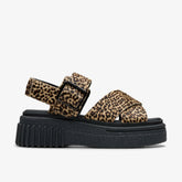 Evamar Wish Leopard Print | Clarks for sale