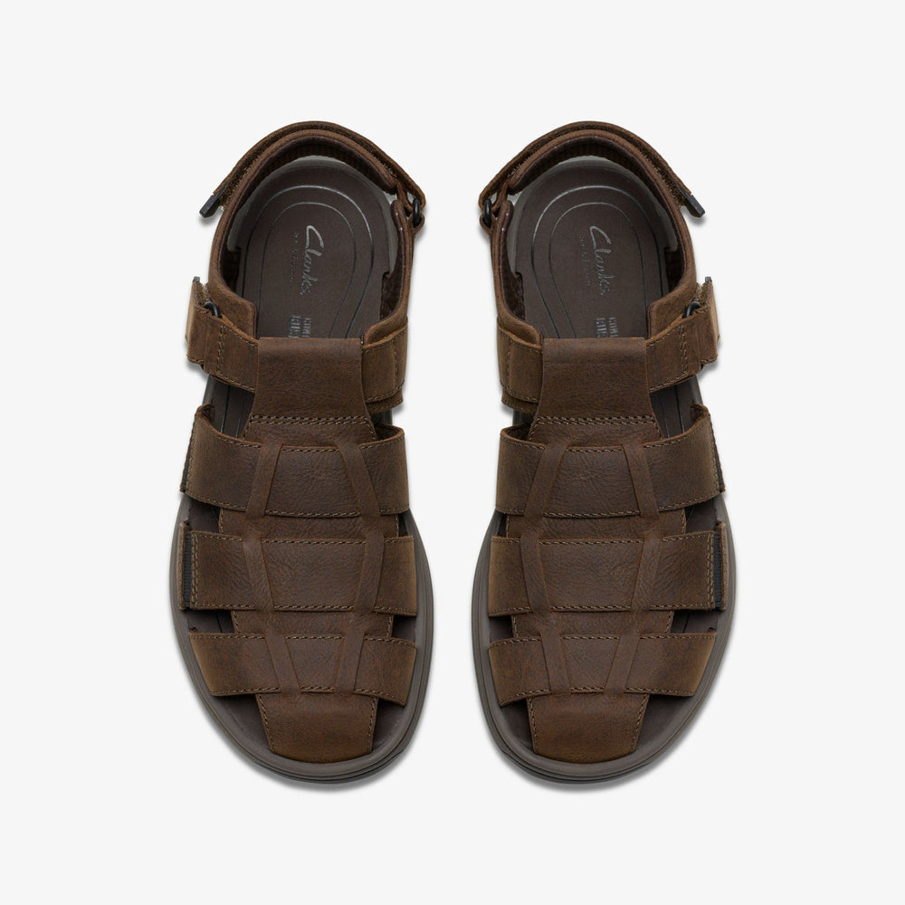 Saltway Cove Dark Brown Leather | Clarks for sale
