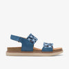Blue Combination