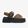 Leopard Print