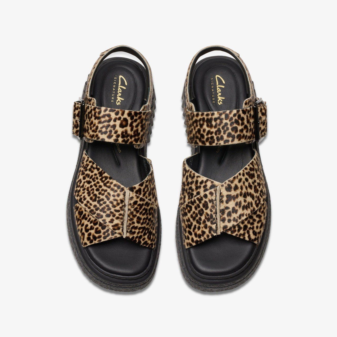 Evamar Wish Leopard Print | Clarks for sale